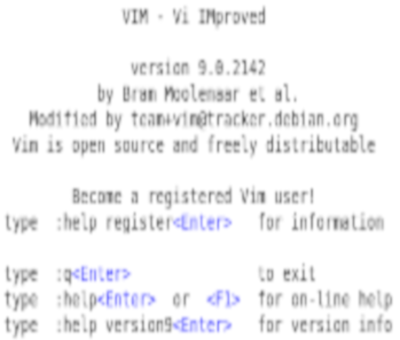 Screenshot of the VIM code editor